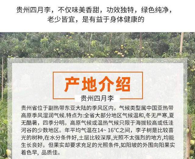 2024今晚香港开特马开什么六期|全面解释解析落实